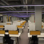 جامعة نيشان تاشي